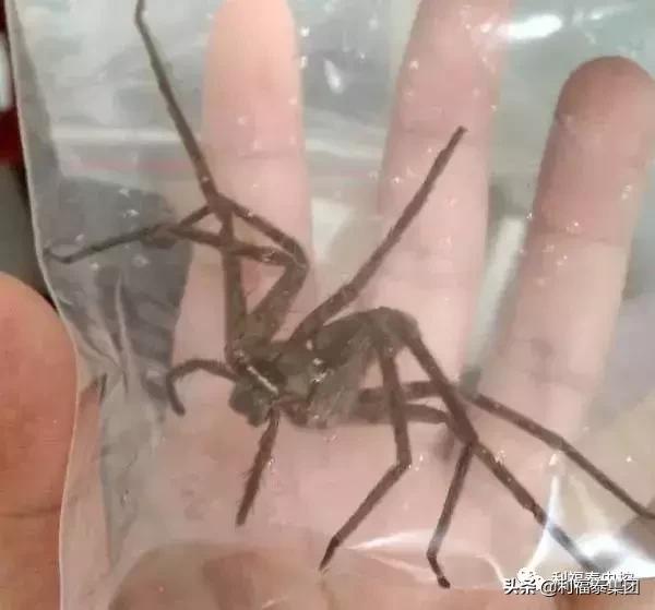 第380页