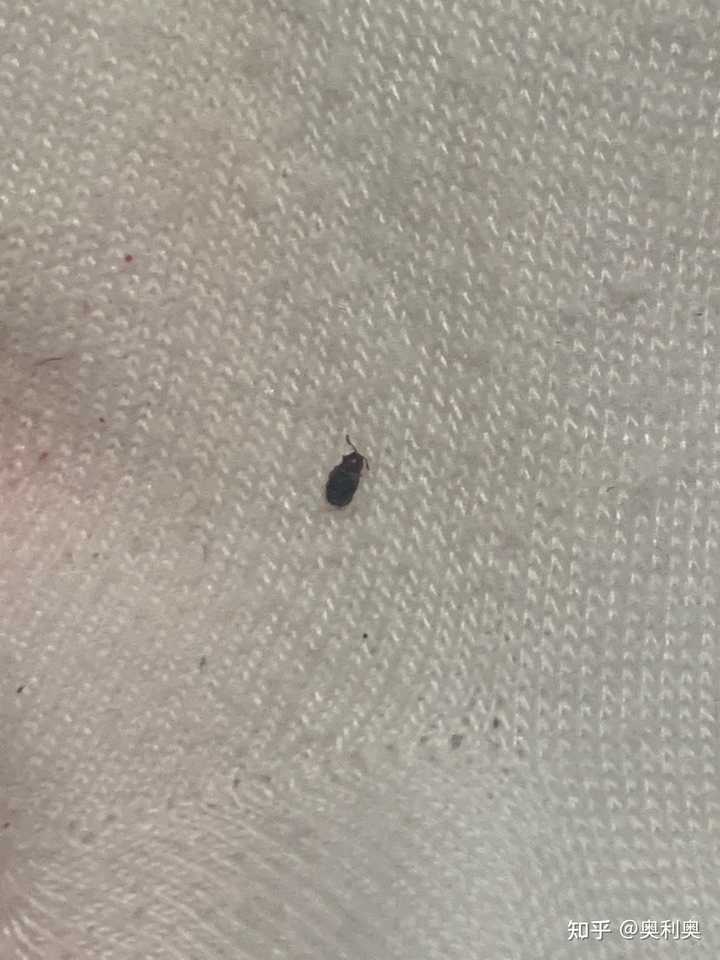 第370页