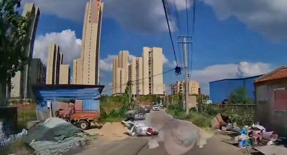 第255页