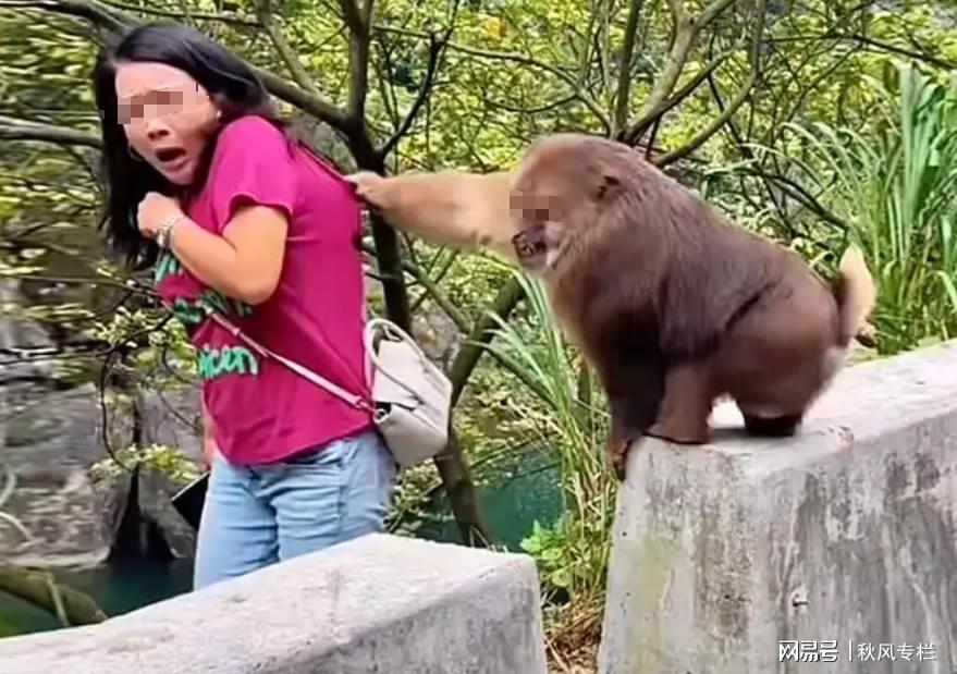 热点生活